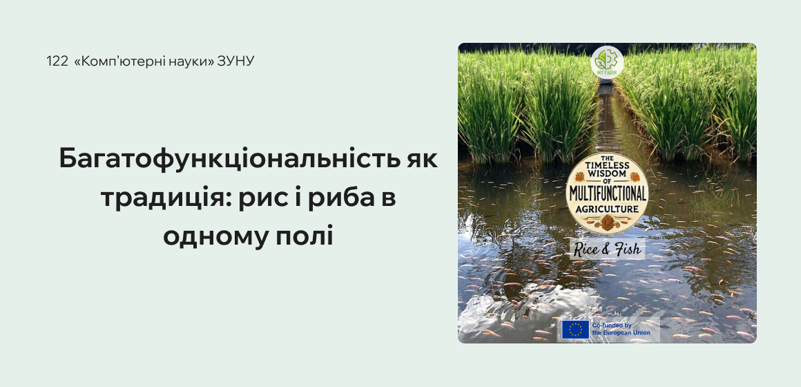 Багатофункціональність як традиція: рис і риба в одному полі